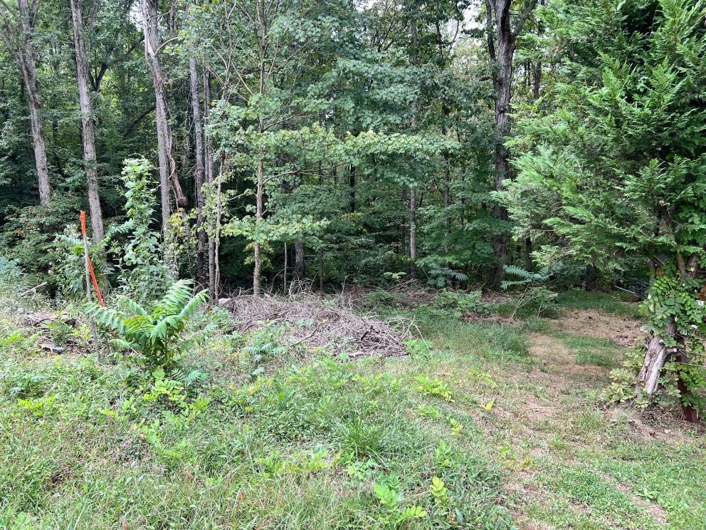 Image for 22 Glen Haven Court, Greenville, SC 29611