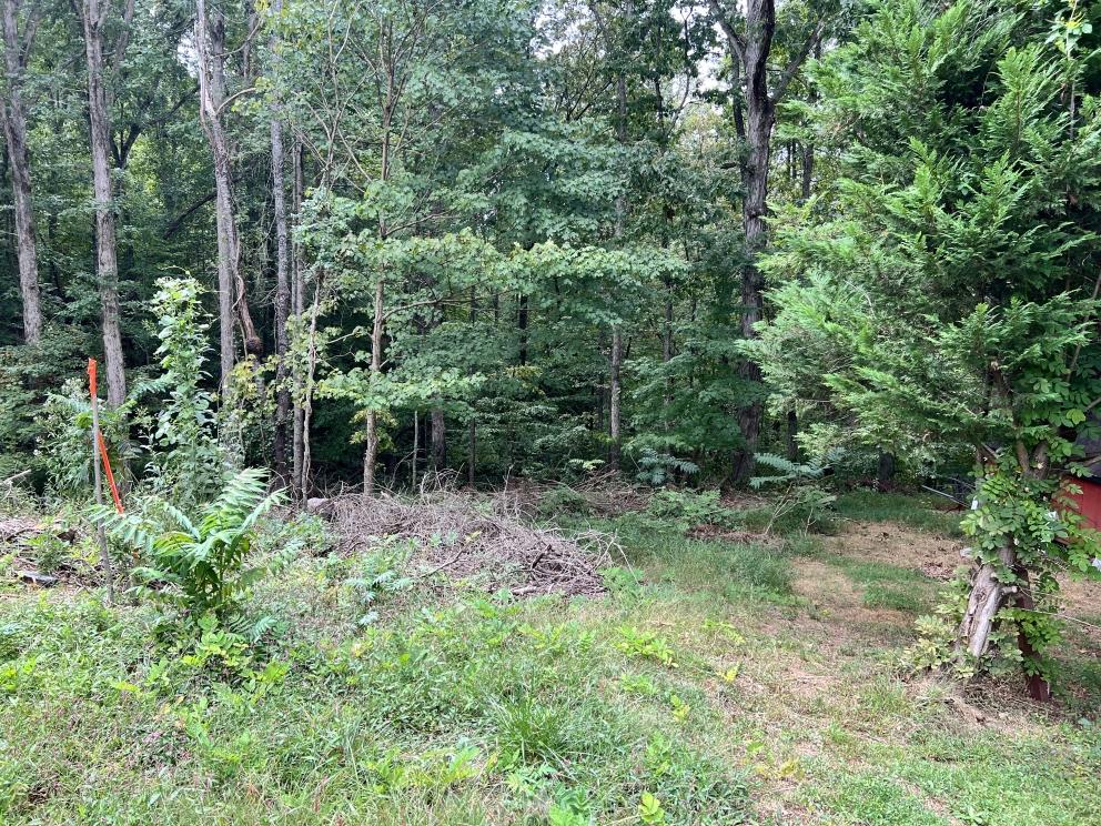 Image for 22 Glen Haven Court, Greenville, SC 29611