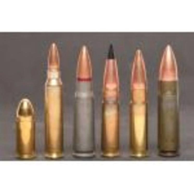Image for One-Owner Ammunition and Shooting Auction (23-119)