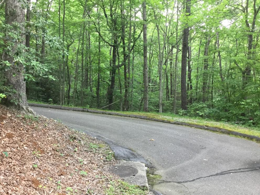 Image for Caesar’s Head – Online Real Estate Auction 2 of 4