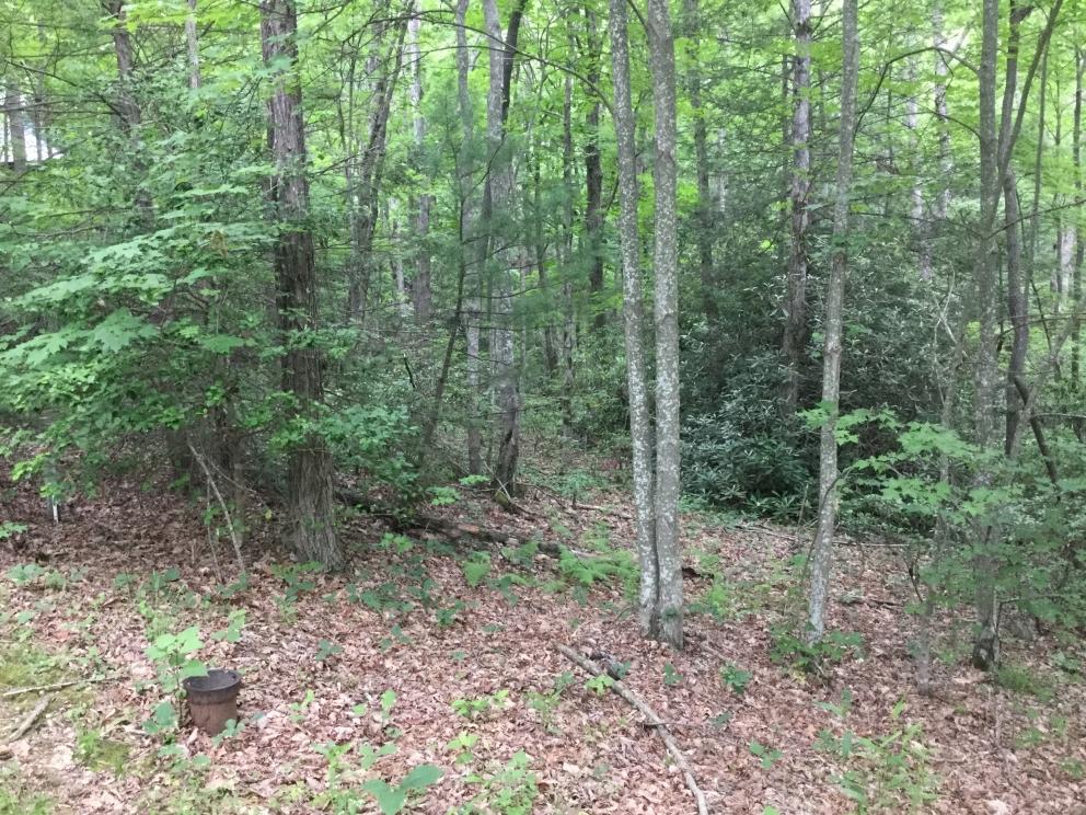 Image for Caesar’s Head – Online Real Estate Auction 2 of 4