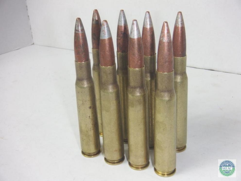 Image for End of August Sportsman - Shooting - Ammunition (18-120)