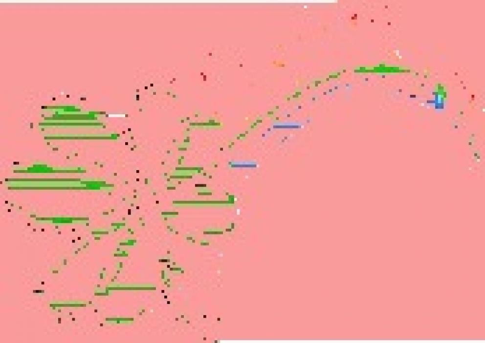 Image for St Patricks Shooting and Sportsman Event