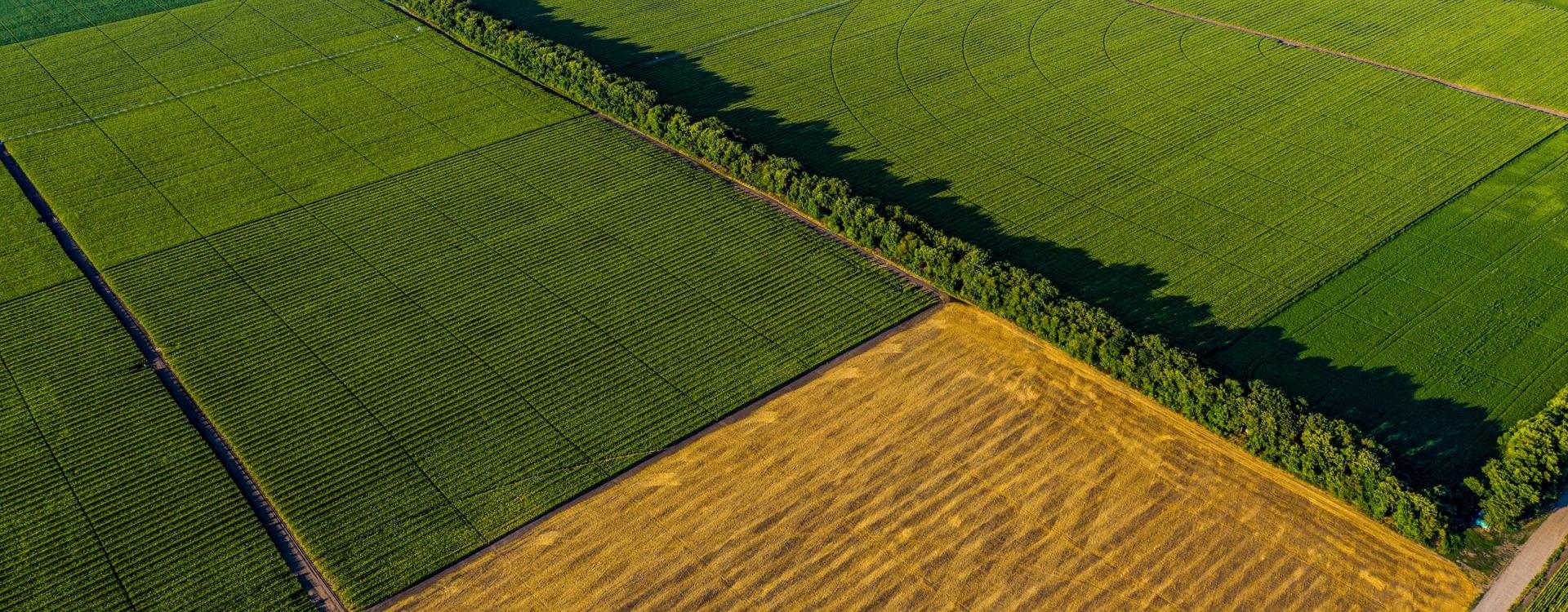 Land and Farms