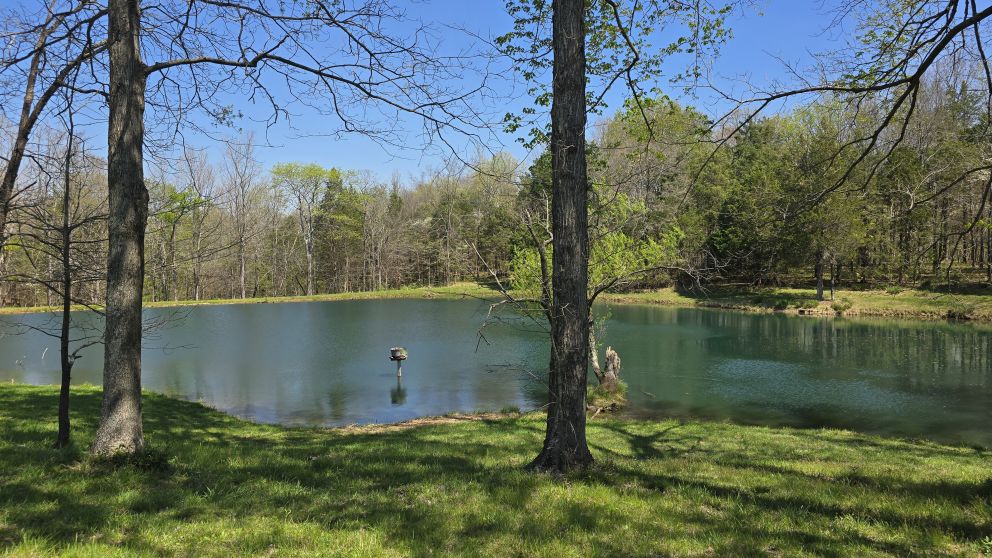 26965d61-466d-46dc-bc13-70f964d62c7e-1 all 56810