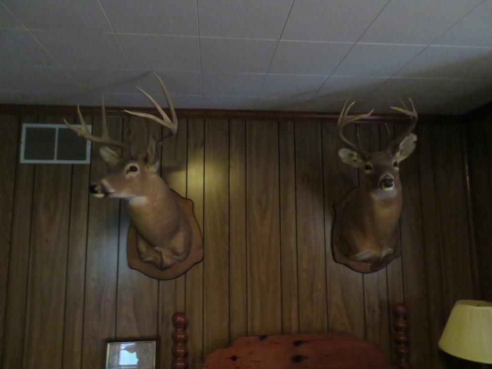 Image for Tremendous Orange and Madison Estates Auction