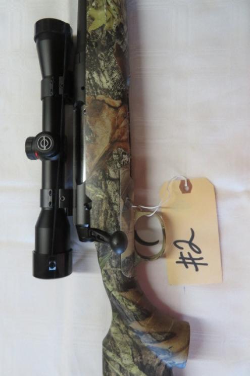 Image for Spectacular Gun Sale