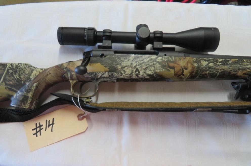 Image for Spectacular Gun Sale