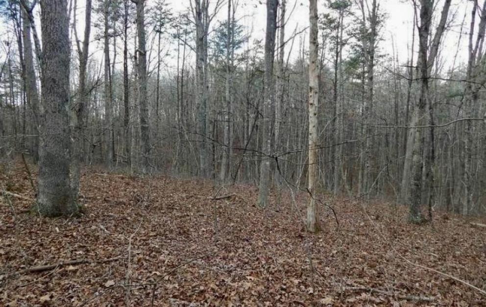 Image for 25 +/- Acre Wooded Parcel in Prince William County, VA—Sells to the Highest Bidder!!—ONLINE ONLY