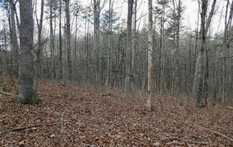Image for 25 +/- Acre Wooded Parcel in Prince William County, VA—Sells to the Highest Bidder!!—ONLINE ONLY