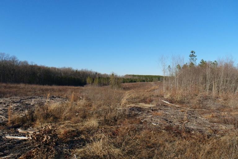 Image for 26 +/- Ac. of Raw Land in Spotsylvania County, VA Selling at or Above $25,000!! ONLINE BIDDING ONLY