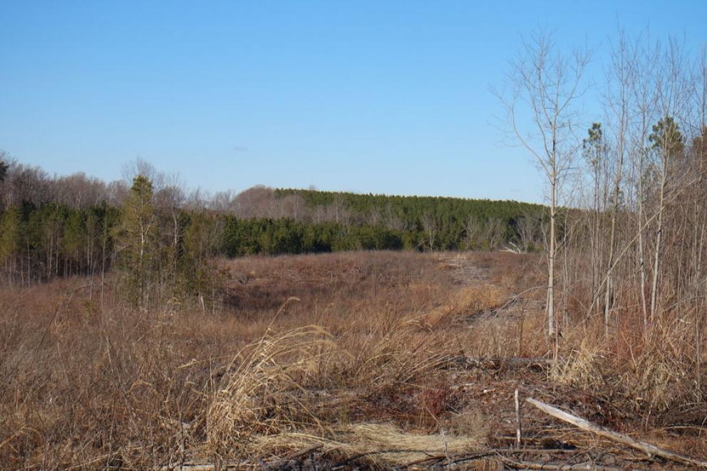 Image for 26 +/- Ac. of Raw Land in Spotsylvania County, VA Selling at or Above $25,000!! ONLINE BIDDING ONLY