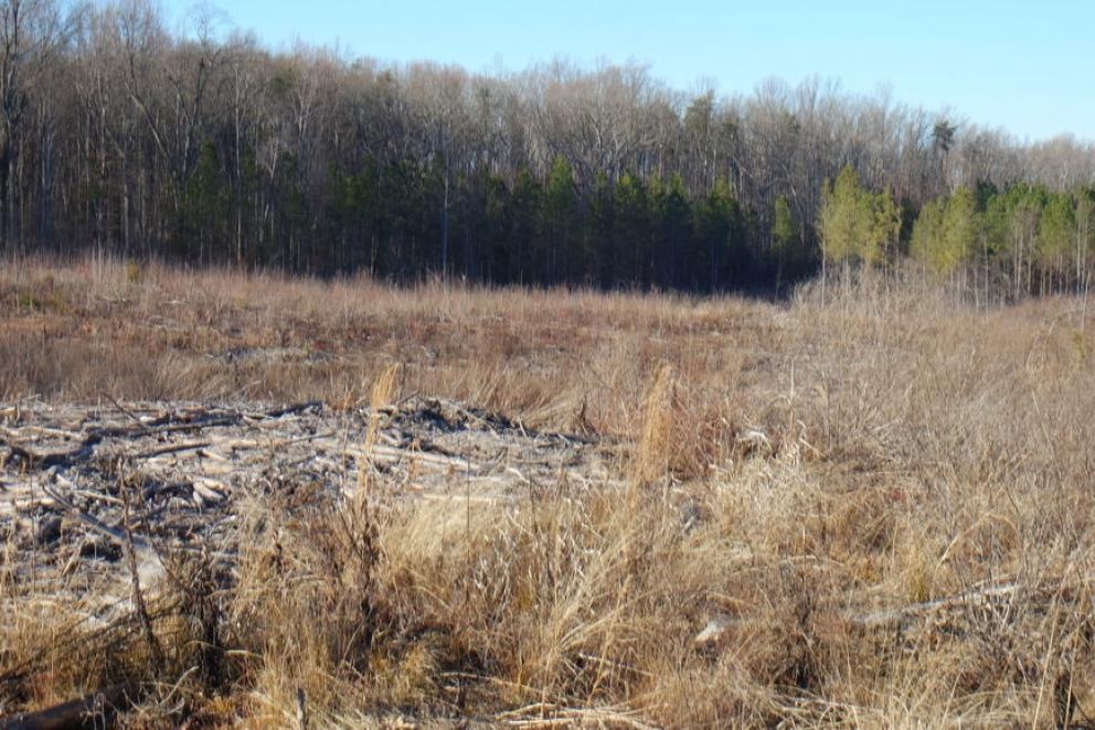 Image for 26 +/- Ac. of Raw Land in Spotsylvania County, VA Selling at or Above $25,000!! ONLINE BIDDING ONLY