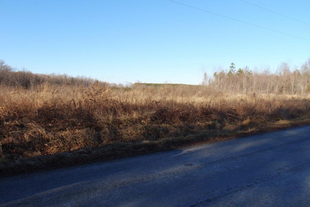 Image for 26 +/- Ac. of Raw Land in Spotsylvania County, VA Selling at or Above $25,000!! ONLINE BIDDING ONLY