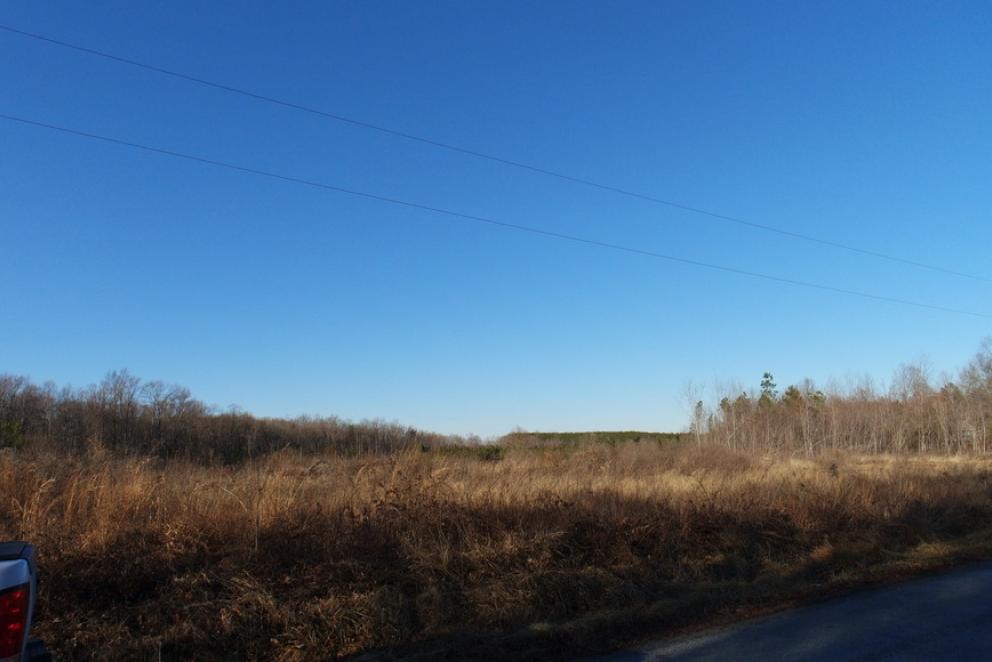 Image for 26 +/- Ac. of Raw Land in Spotsylvania County, VA Selling at or Above $25,000!! ONLINE BIDDING ONLY