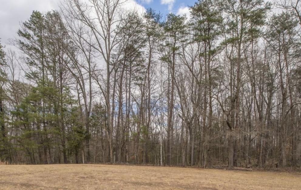 Image for Gorgeous 3 BR/3.5 BA Home on 3.3 +/- Acres in Madison County, VA