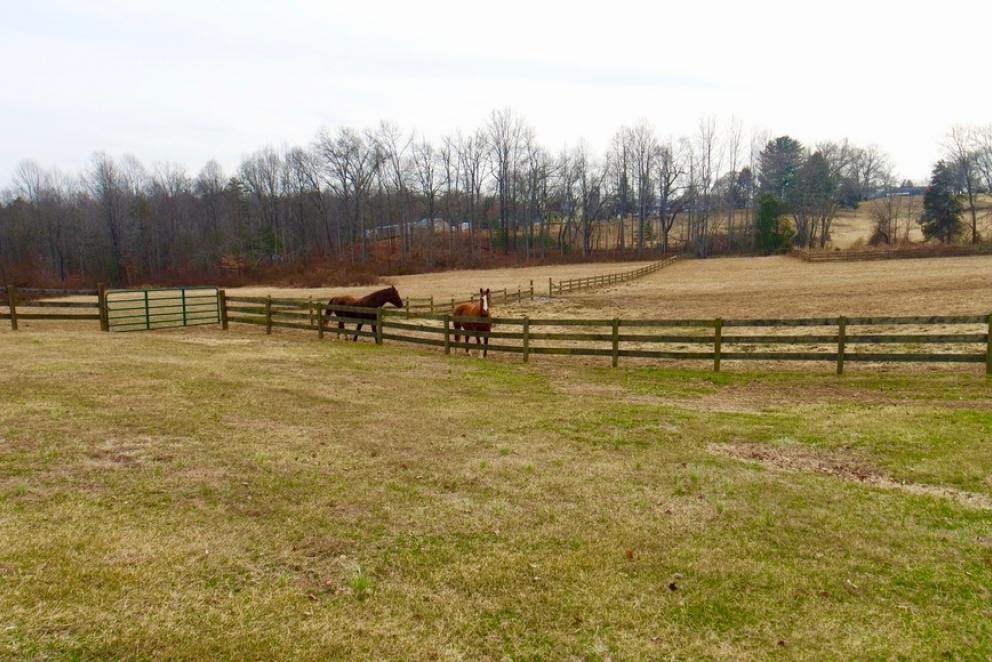 Image for 4 BR/4 BA Home w/Barn & Fenced Pasture on 33 +/- in Madison County, VA