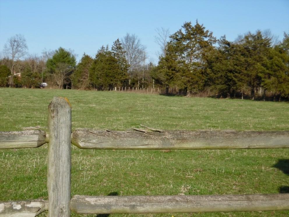 Image for 69.5 +/- Acres of Beautiful Land w/Barn, Fencing, Pond & Creek in Culpeper County, VA