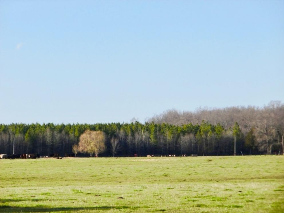 Image for 69.5 +/- Acres of Beautiful Land w/Barn, Fencing, Pond & Creek in Culpeper County, VA