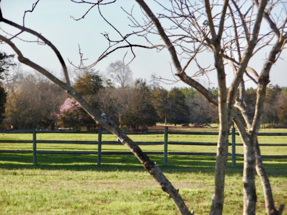 Image for 69.5 +/- Acres of Beautiful Land w/Barn, Fencing, Pond & Creek in Culpeper County, VA