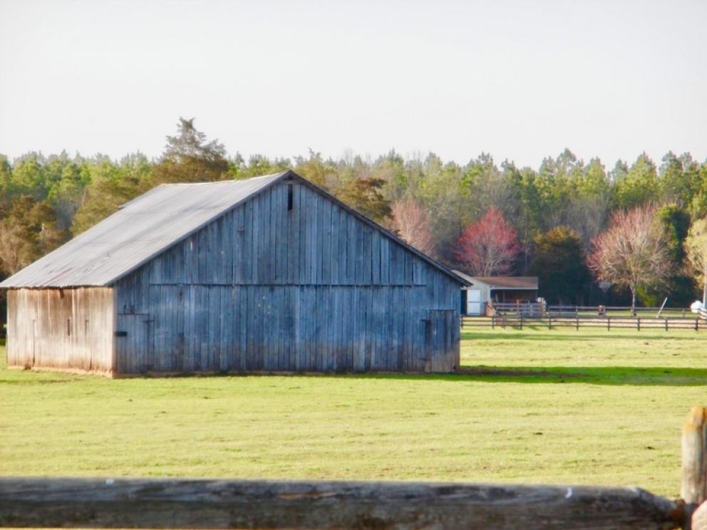 Image for 69.5 +/- Acres of Beautiful Land w/Barn, Fencing, Pond & Creek in Culpeper County, VA