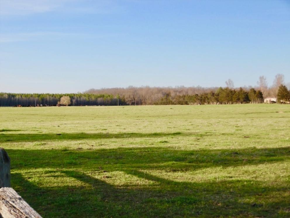 Image for 69.5 +/- Acres of Beautiful Land w/Barn, Fencing, Pond & Creek in Culpeper County, VA