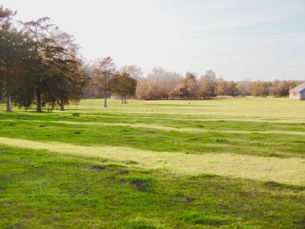 Image for 69.5 +/- Acres of Beautiful Land w/Barn, Fencing, Pond & Creek in Culpeper County, VA