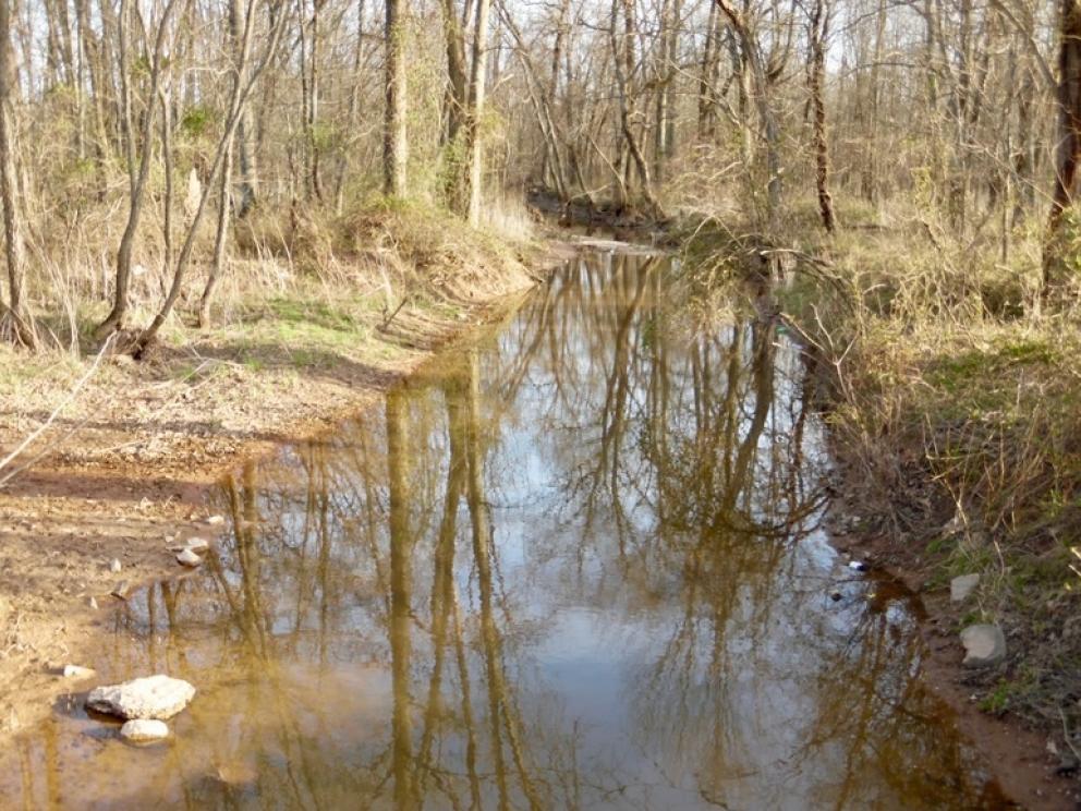 Image for 69.5 +/- Acres of Beautiful Land w/Barn, Fencing, Pond & Creek in Culpeper County, VA