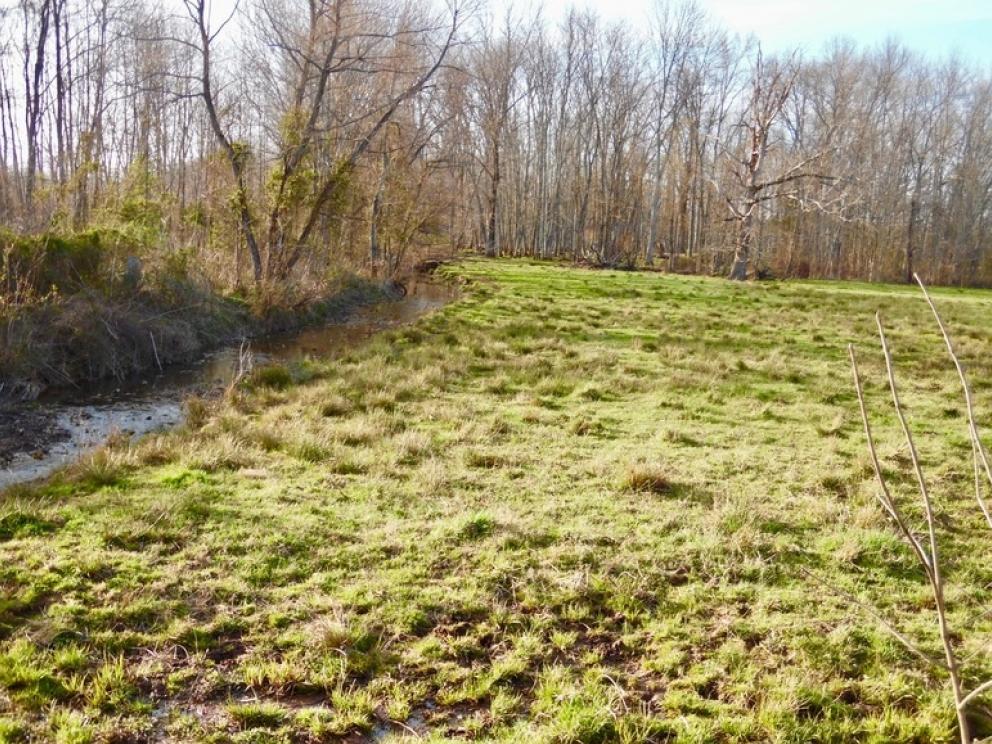 Image for 69.5 +/- Acres of Beautiful Land w/Barn, Fencing, Pond & Creek in Culpeper County, VA