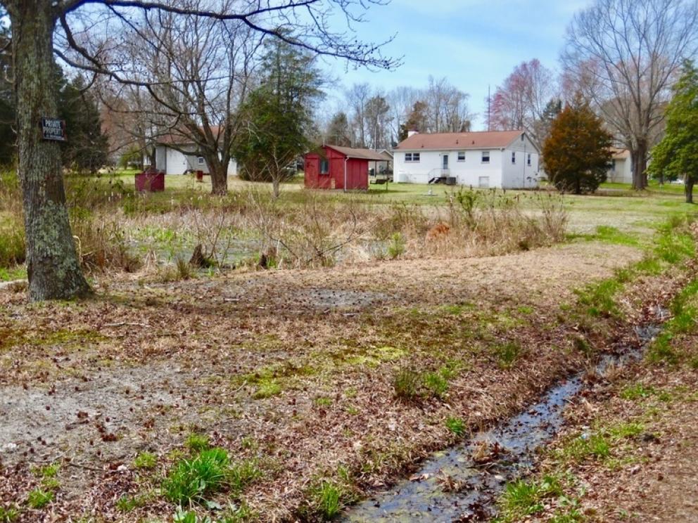 Image for 2 BR/1 BA Home w/30’ x 40’ Shop on 1.3 +/- Acres in Colonial Beach, VA—Sells to the Highest Bidder!