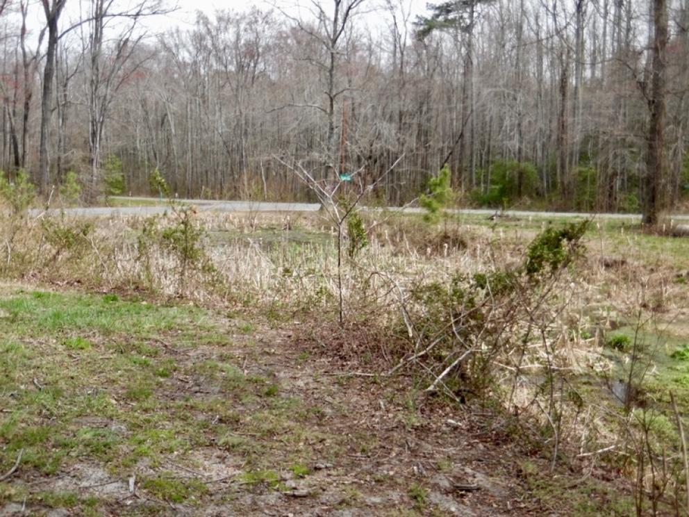 Image for 2 BR/1 BA Home w/30’ x 40’ Shop on 1.3 +/- Acres in Colonial Beach, VA—Sells to the Highest Bidder!