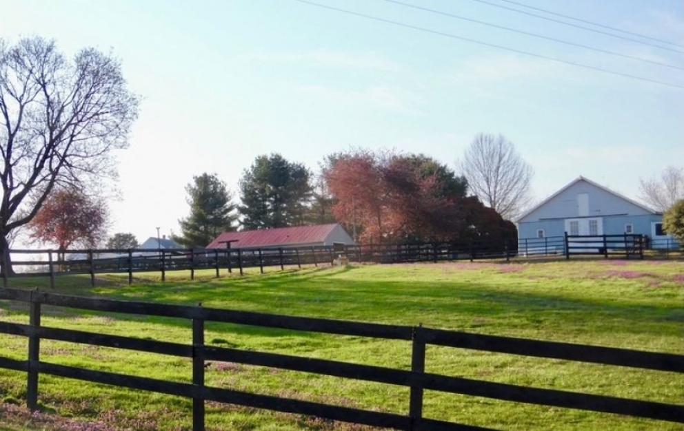 Image for 3 BR/3 BA Home on 6.3 +/- Acres w/12 Stall Barn, Riding Rink & Workshop in Madison County, VA