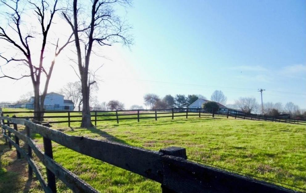 Image for 3 BR/3 BA Home on 6.3 +/- Acres w/12 Stall Barn, Riding Rink & Workshop in Madison County, VA
