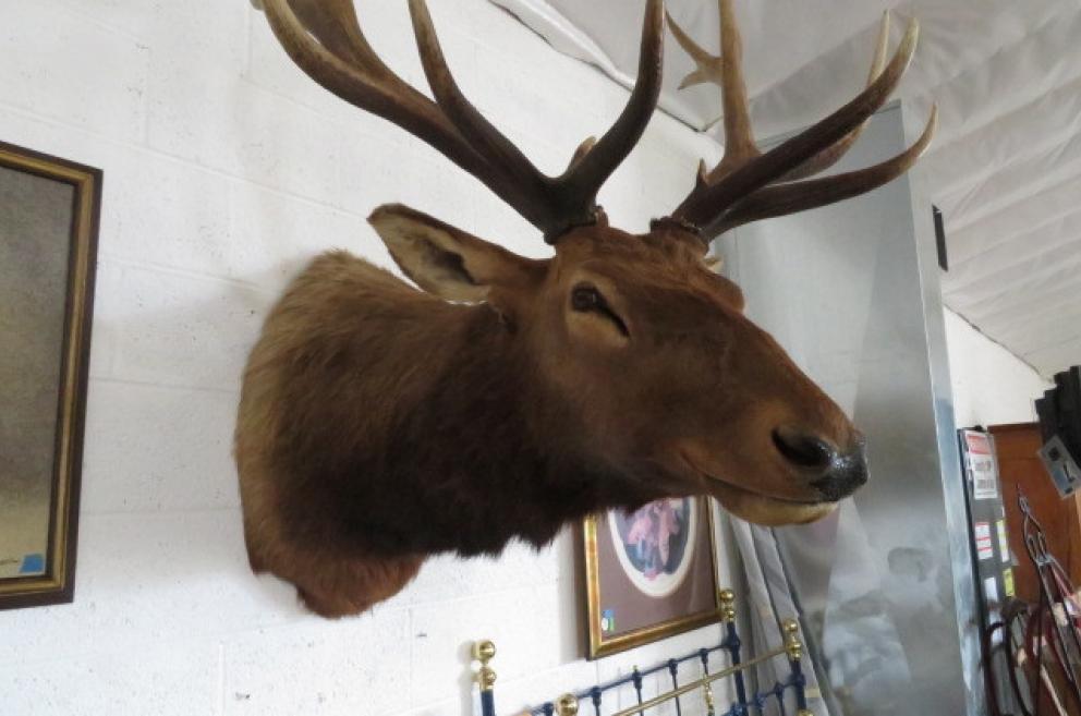 Image for Household and Collectible Auction