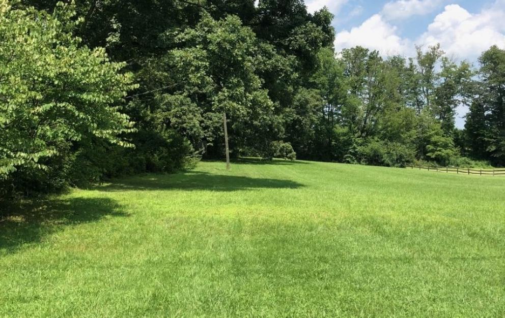 Image for Solid 3 BR/1.5 BA Home w/Basement on 2.8 +/- Acres in Orange Co., VA—Sells to the Highest Bidder!!!