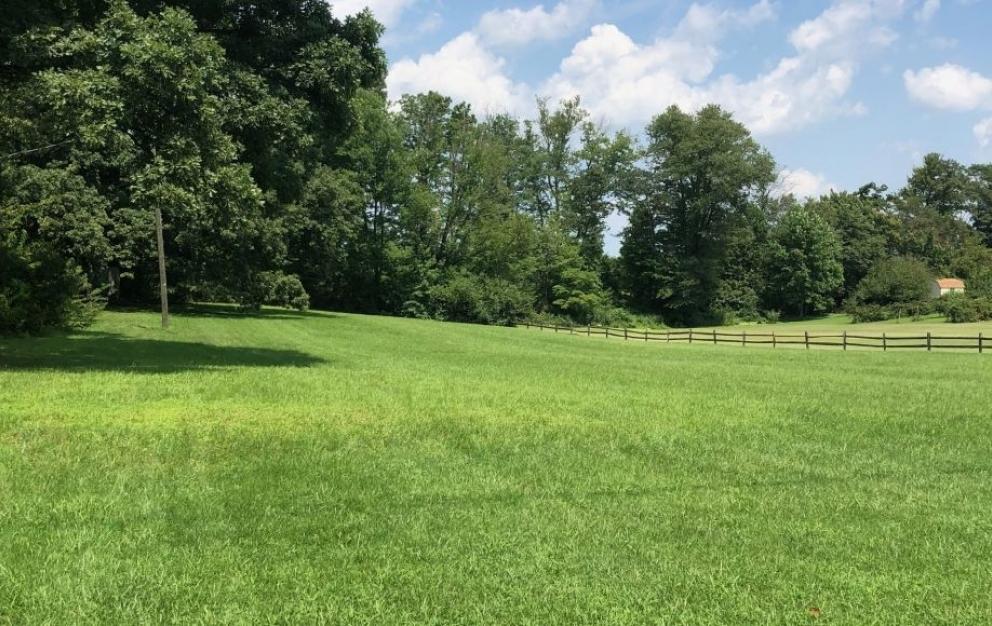 Image for Solid 3 BR/1.5 BA Home w/Basement on 2.8 +/- Acres in Orange Co., VA—Sells to the Highest Bidder!!!