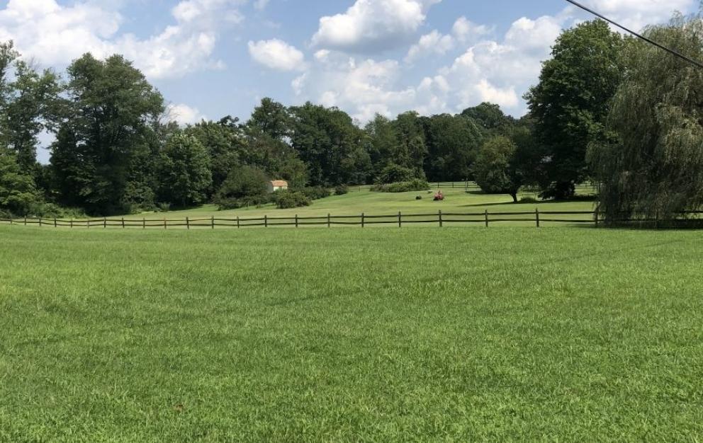 Image for Solid 3 BR/1.5 BA Home w/Basement on 2.8 +/- Acres in Orange Co., VA—Sells to the Highest Bidder!!!