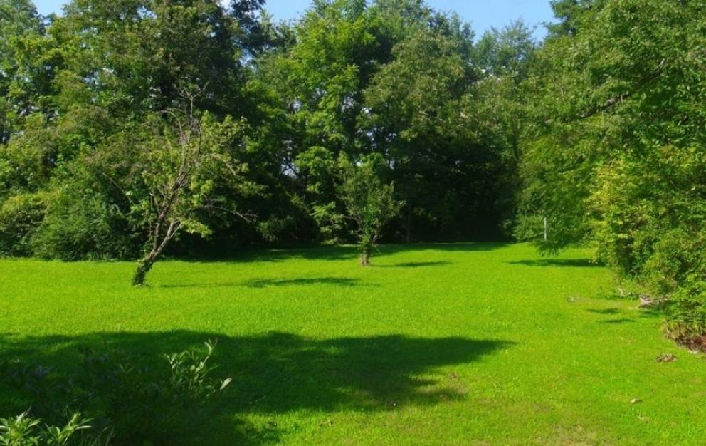 Image for Solid 3 BR/1.5 BA Home w/Basement on 2.8 +/- Acres in Orange Co., VA—Sells to the Highest Bidder!!!