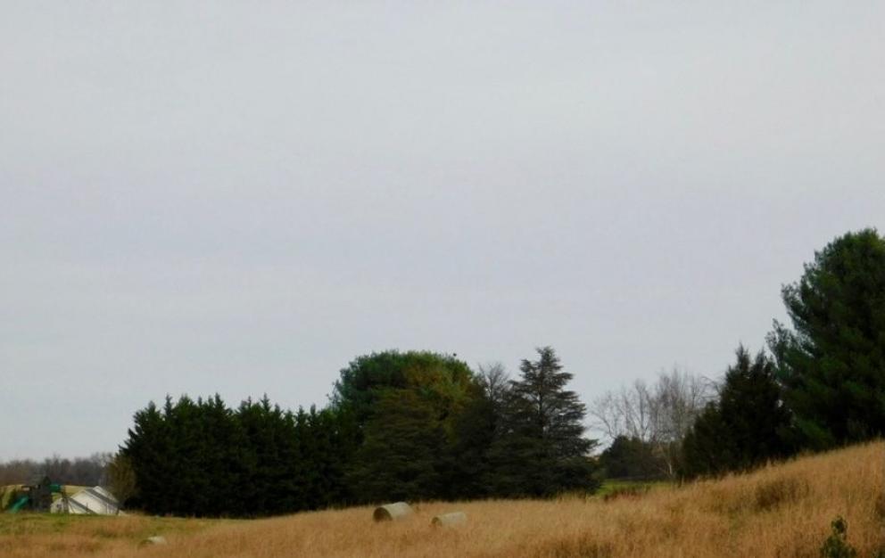 Image for Beautiful 3.68 +/- Acre Building Lot in Culpeper County, VA