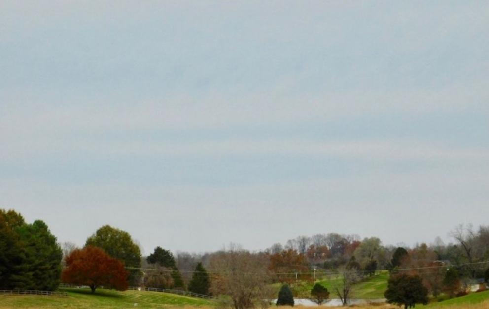 Image for Beautiful 3.68 +/- Acre Building Lot in Culpeper County, VA