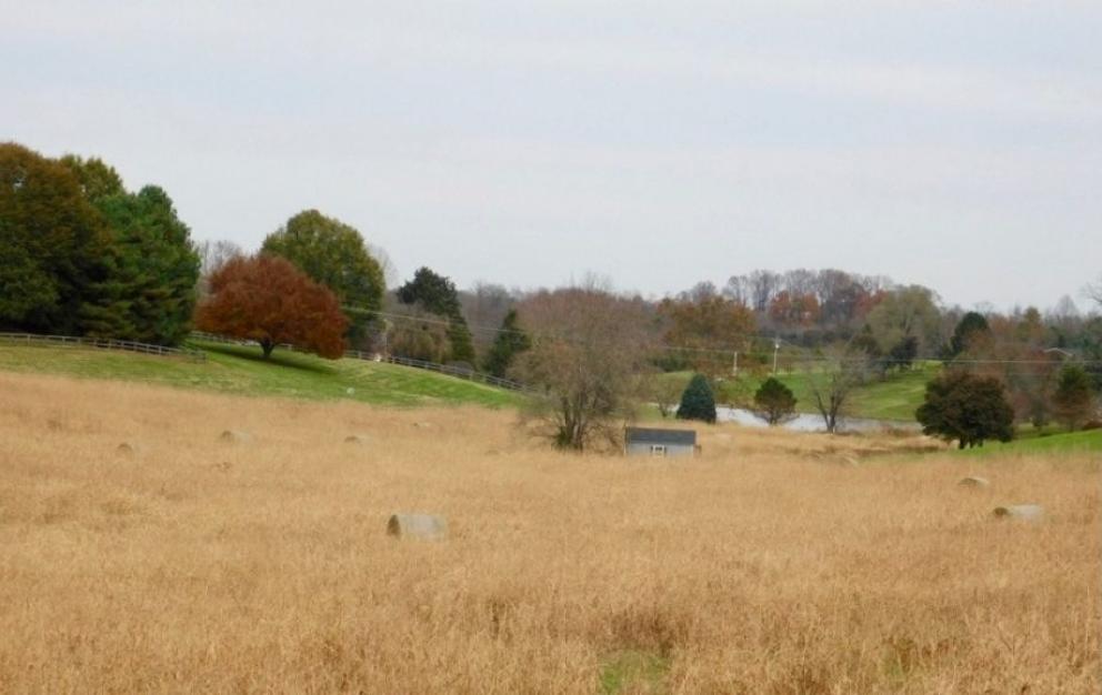 Image for 3 BR/2.5 BA Custom Log Home on 72 +/- Acres w/3 Bay Outbuilding, Pond, Fencing & Kennels