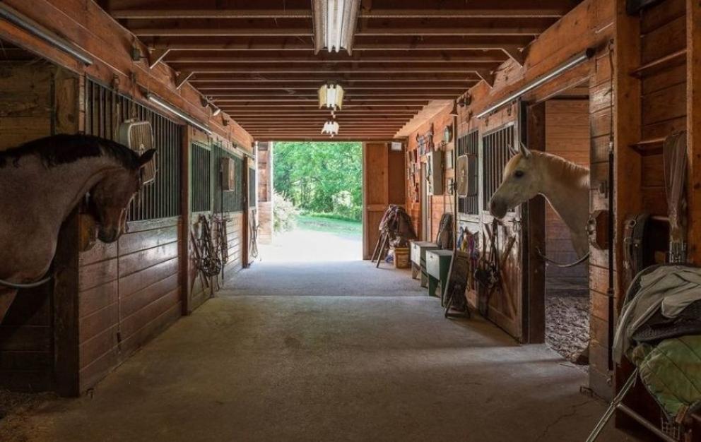 Image for 3 BR/3 BA Home w/Finished Basement on 5.8 +/- Acres & Income Producing Log Cabin Duplex on 25 +/- Ac