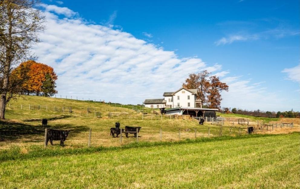 Bear Wallow Farm/David Fultz House: 35 +/- Acres—Immaculately Restored ...