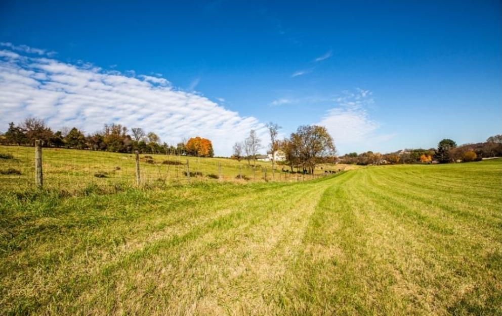 Image for Bear Wallow Farm/David Fultz House: 35 +/- Acres—Immaculately Restored and Historic 4 BR Home