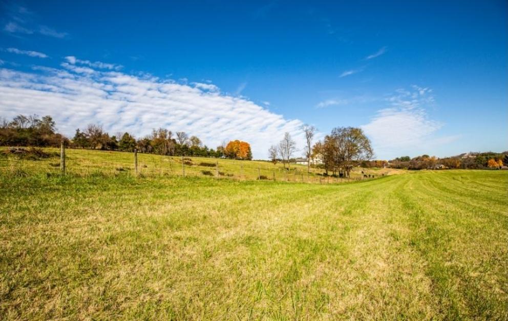 Image for Bear Wallow Farm/David Fultz House: 35 +/- Acres—Immaculately Restored and Historic 4 BR Home