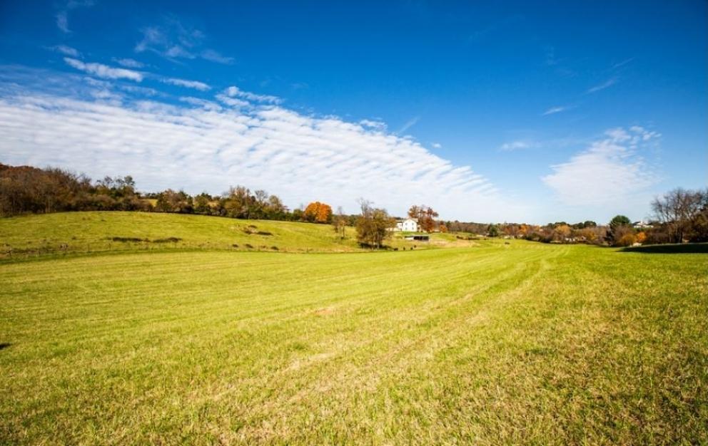 Image for Bear Wallow Farm/David Fultz House: 35 +/- Acres—Immaculately Restored and Historic 4 BR Home