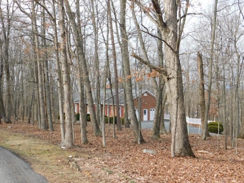 Image for Immaculate Custom Built 3 BR/2 BA Brick Home on 3.5 +/- Acres Centrally Located in Madison Co., VA