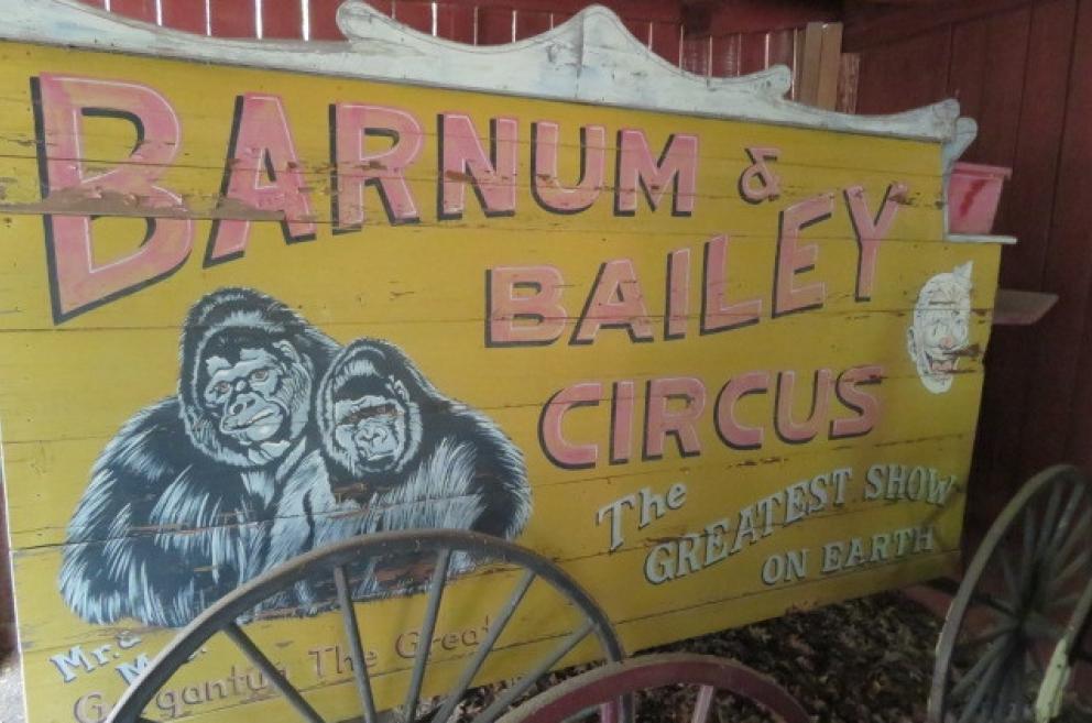 Image for New Years Day Catalog Sale