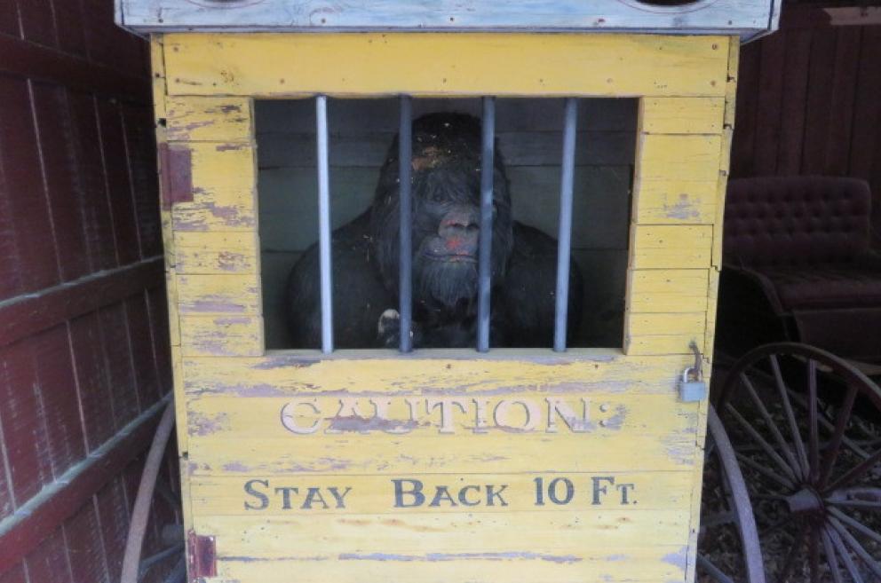 Image for New Years Day Catalog Sale