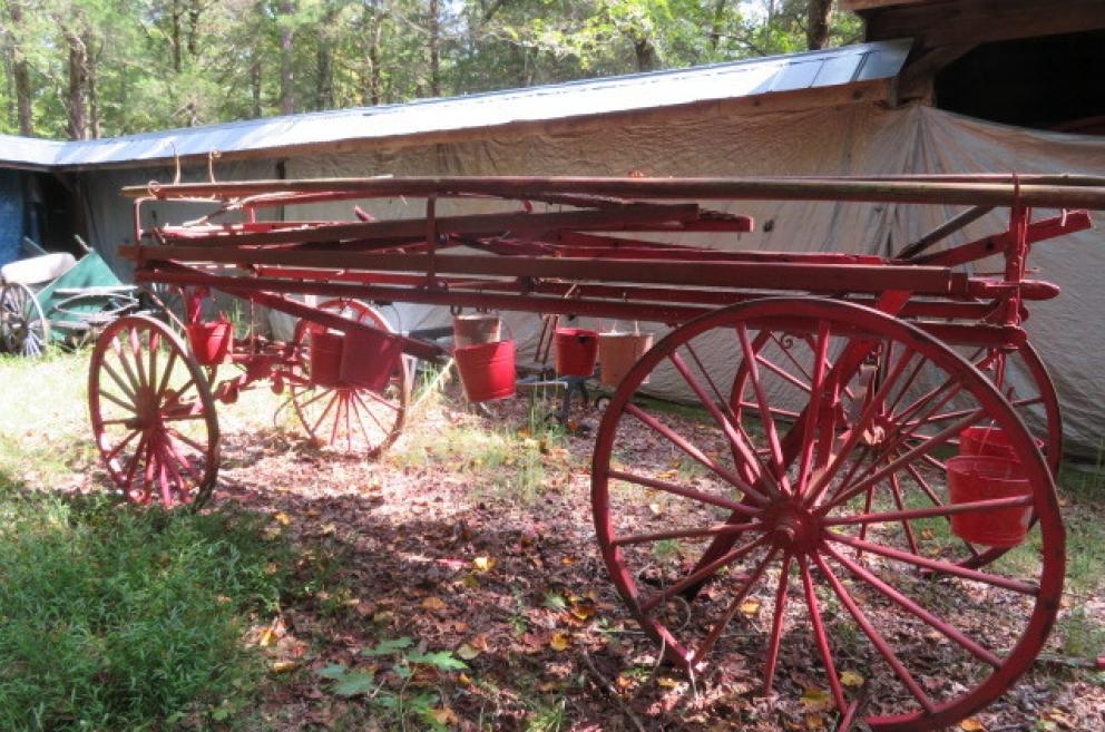 Image for New Years Day Catalog Sale